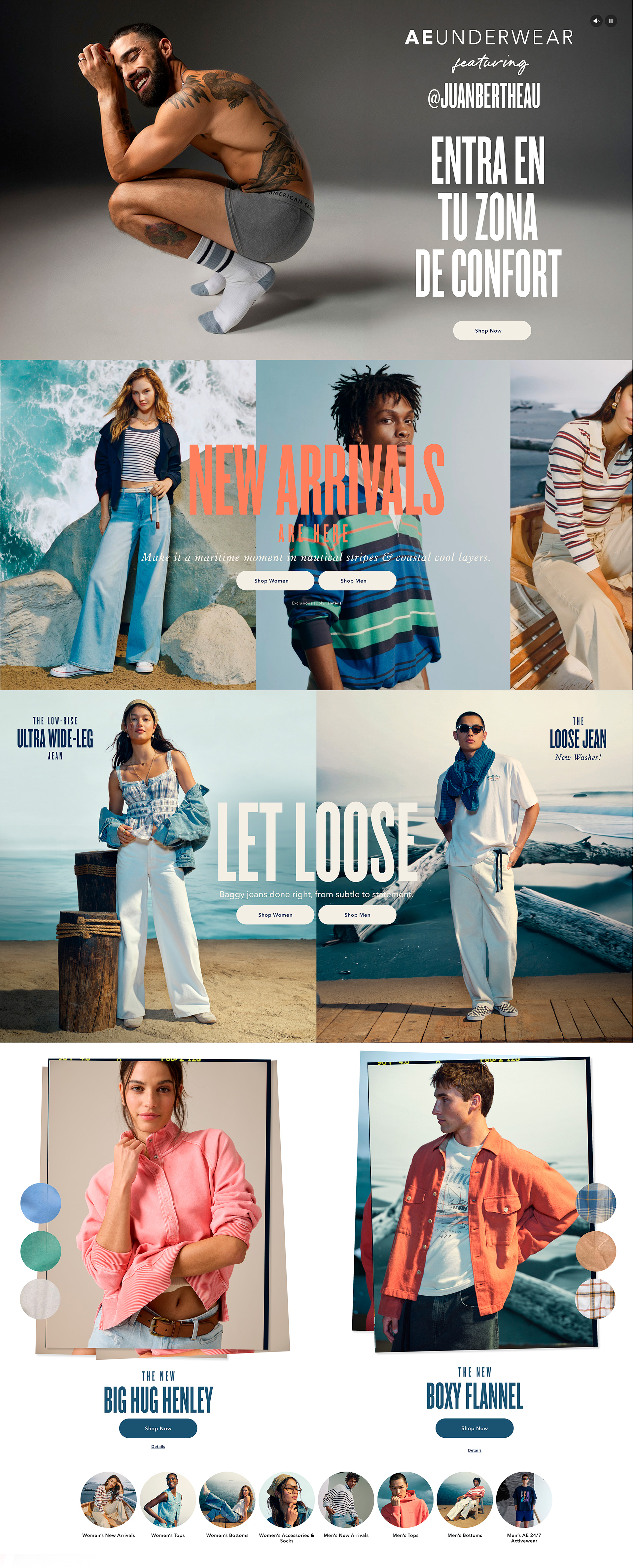 Diseño de la página de inicio para Website