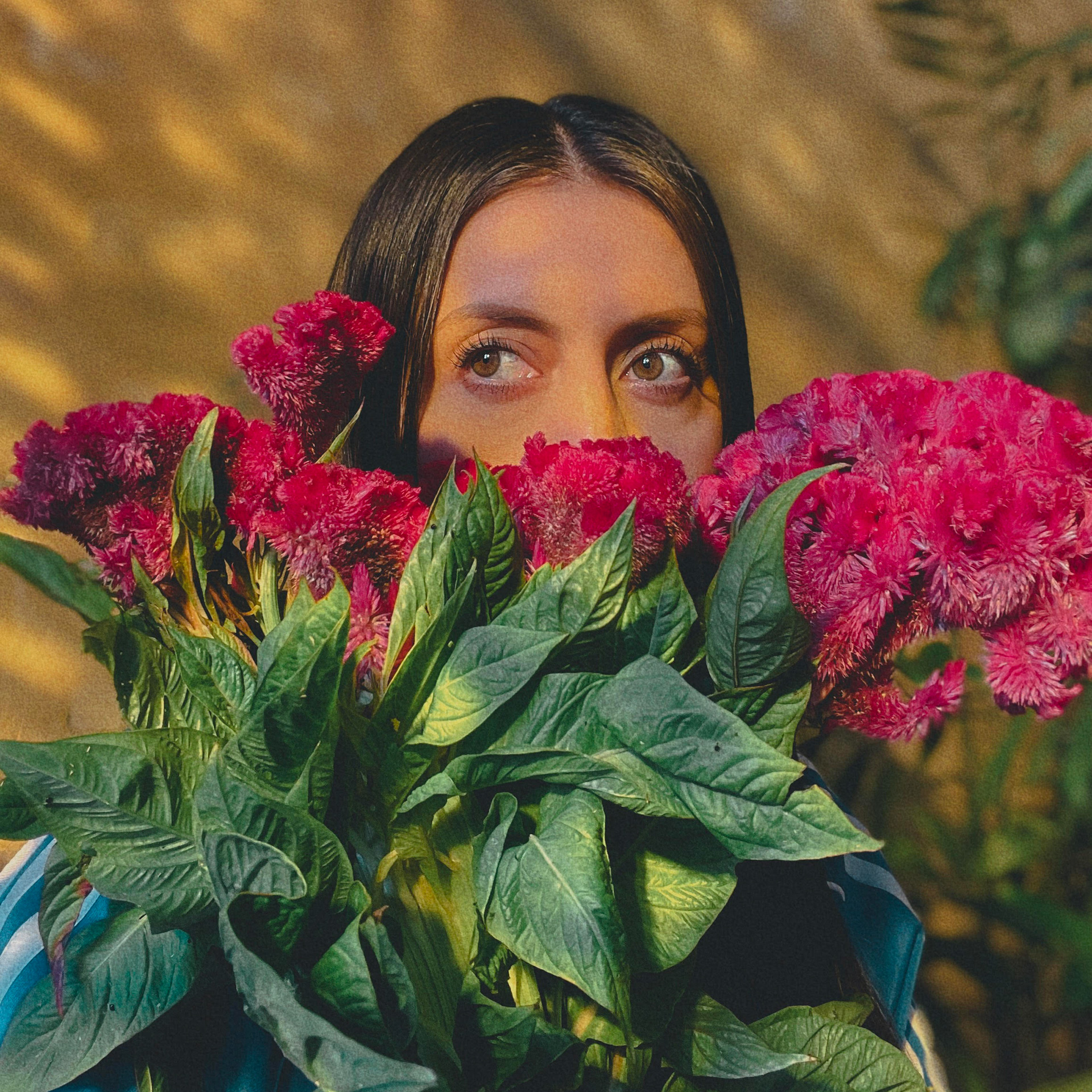 Marisol Cedillo Art Director